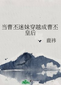 当曹丕迷妹穿越成曹丕皇后